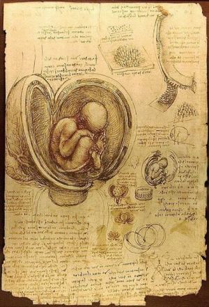 Leonardo da Vinci - Fetus - Memories from the Womb - Prenatal Regressions - Metodo Grifasi
